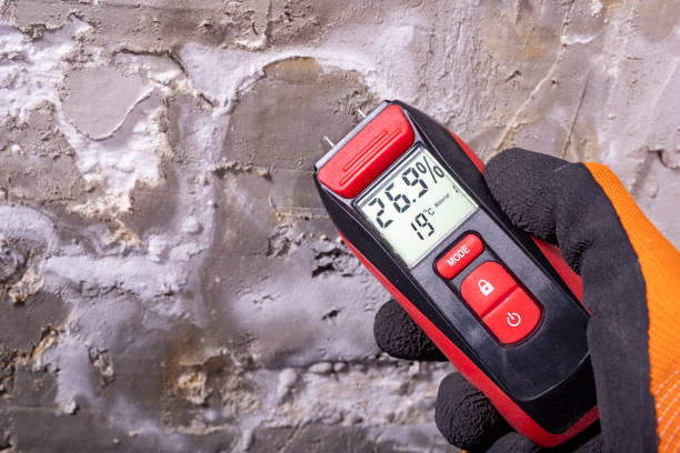  Portland, MI Mold Removal Pros