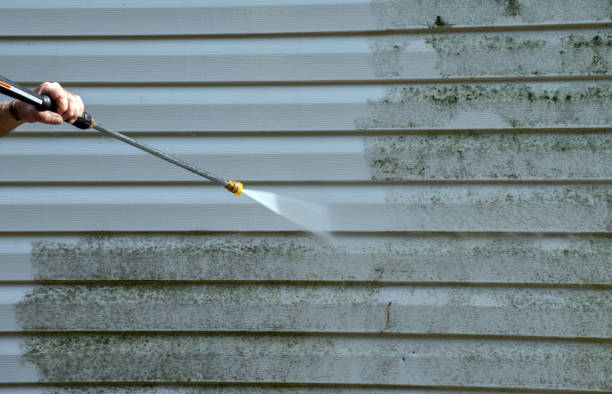Best Residential Mold Removal  in Portland, MI