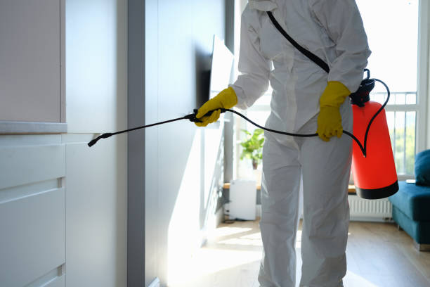 Best Commercial Mold Removal  in Portland, MI