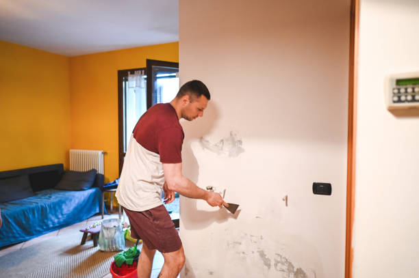 Portland, MI Mold Removal Company